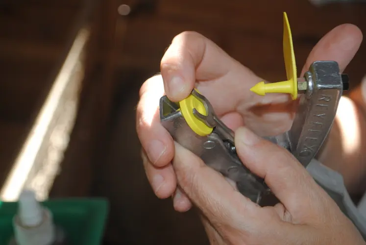 <em class="placeholder">Veillez à utiliser une pince de bouclage recommandée par le fabricant des boucles.</em>