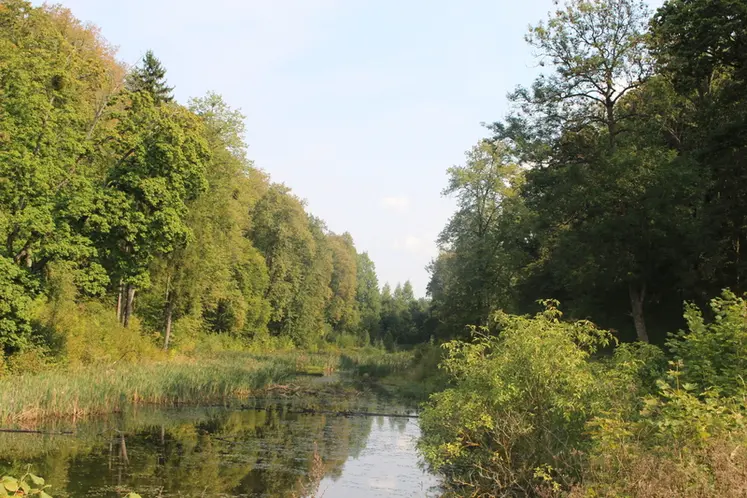 <em class="placeholder">Rivière en Pologne</em>