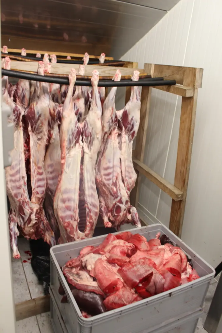 <em class="placeholder">Carcasses d&#039;agneaux</em>