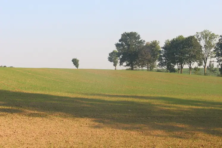 <em class="placeholder">Grande culture</em>