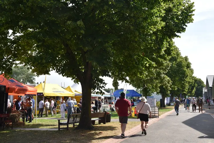 <em class="placeholder">Le Sheep Event se tient tous les deux ans à Malvern, dans le Worcestershire. Il rassemble la filière ovine britannique.</em>