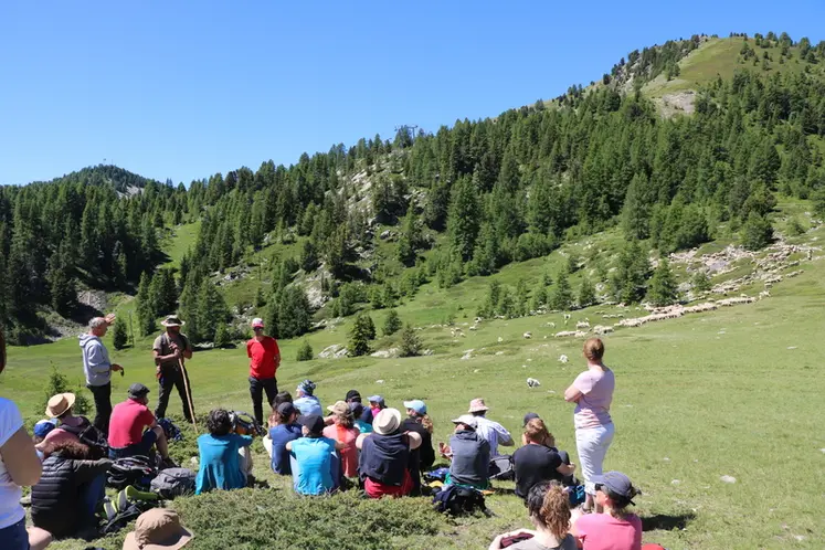 <em class="placeholder">Accueil de groupes sur la ferme ou en estive</em>
