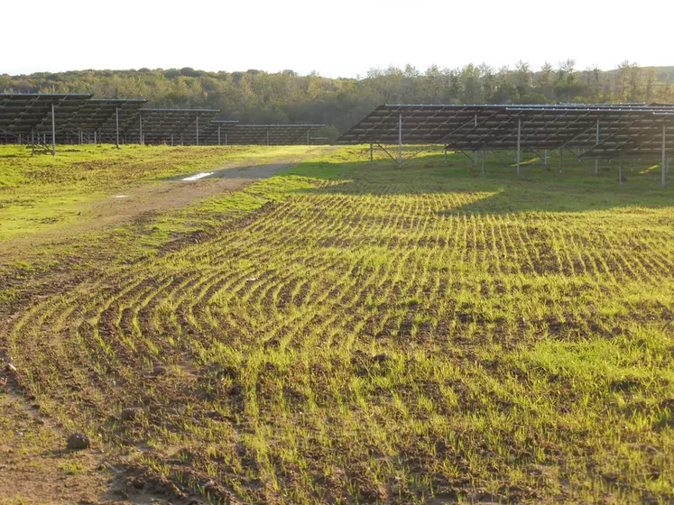 <em class="placeholder">Une prairie semée avec des panneaux solaires </em>