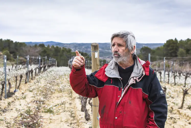 <em class="placeholder">Guy Sabarthès, premier adjoint à la mairie de Félines-Minervois et conseiller municipal en charge des questions agricoles</em>