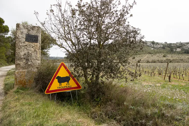 <em class="placeholder">Panneau routier signalant la présence de moutons</em>