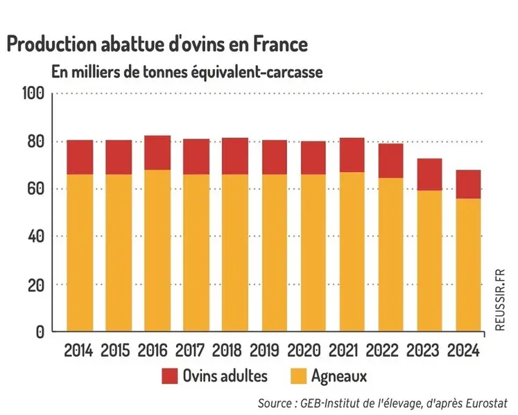 <em class="placeholder">Graphique : Production abattue d&#039;ovins en France© GEB-Institut de l&#039;élevage d&#039;après Eurostat</em>