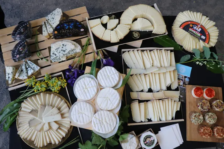 <em class="placeholder">Plateau de fromages de brebis</em>