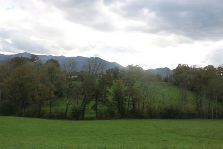 <em class="placeholder">Prairie dans les Hautes-Pyrénées</em>