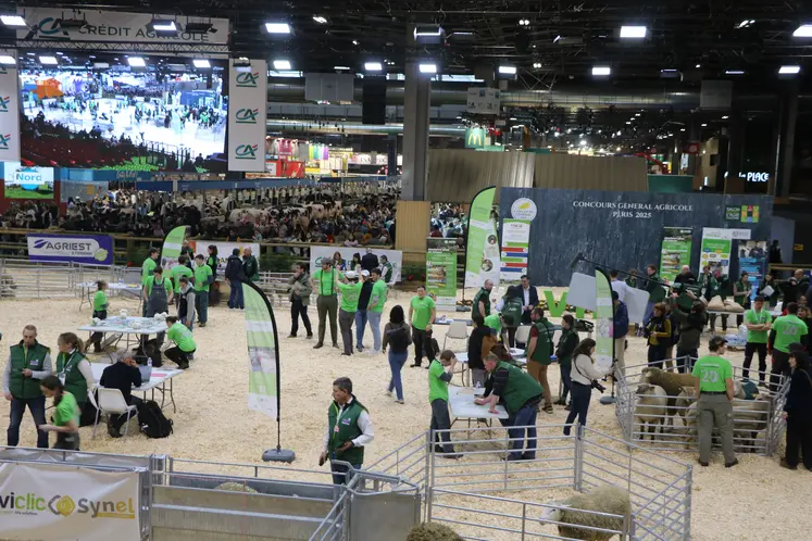 La finale des Ovinpiades s'est déroulée à Paris, lors du premier jour du Salon de l'Agriculture.