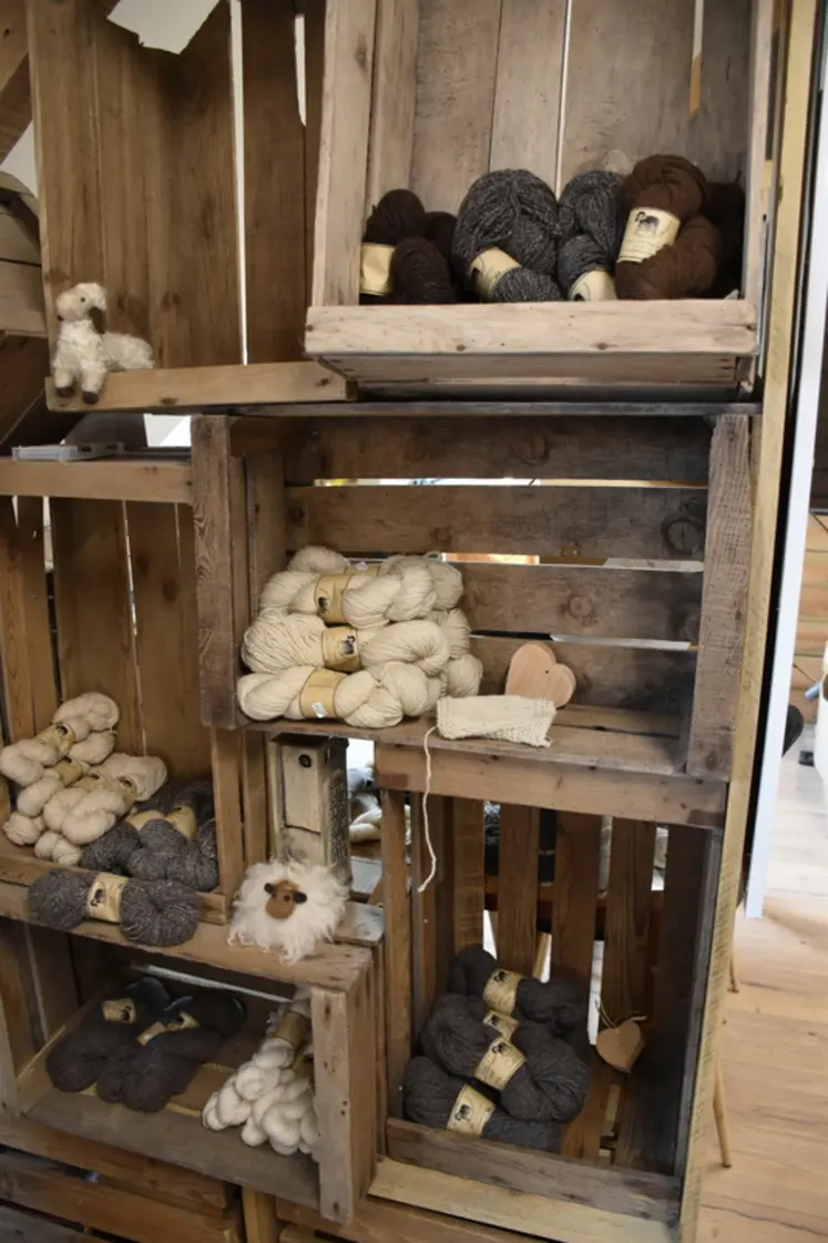 <em class="placeholder">Le magasin de l'atelier de La Petite Filature Bretonne</em>