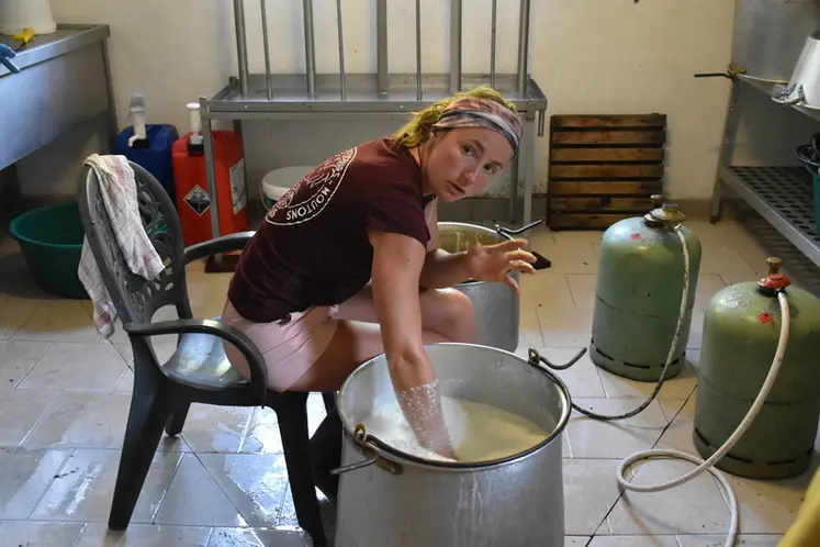 <em class="placeholder">Clémence Machado, la bergère-fromagère</em>