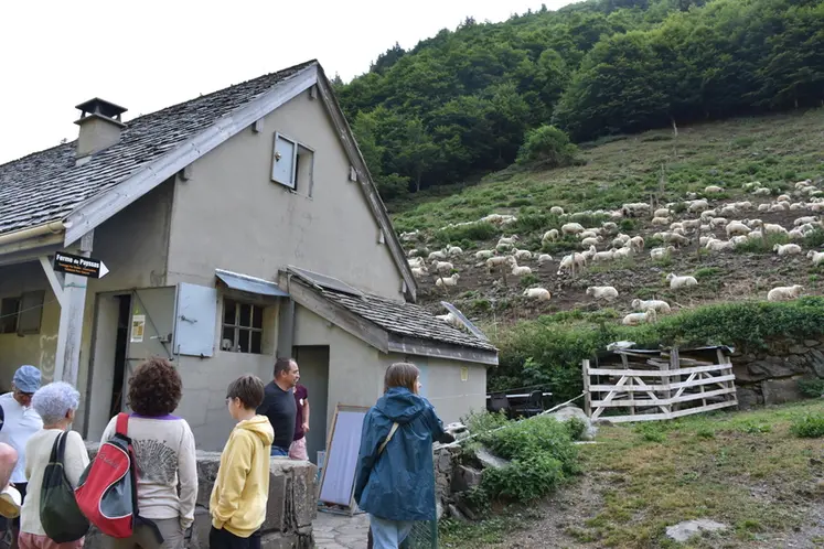 <em class="placeholder">Visite de la cabane d&#039;estive</em>