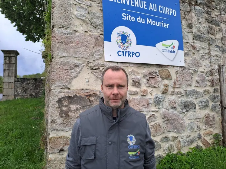 <em class="placeholder">Mickael Bernard, Idele/Ciirpo</em>