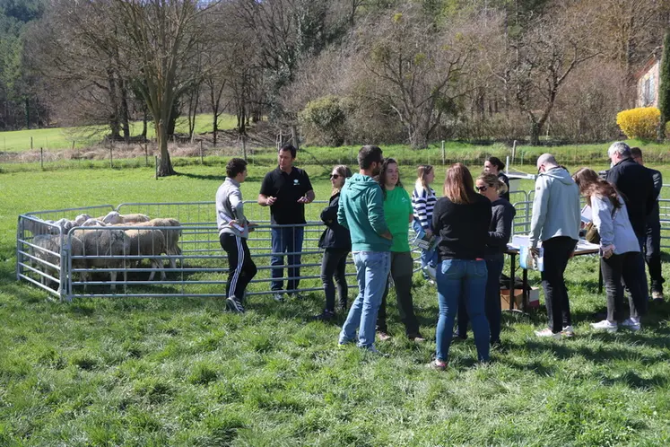 <em class="placeholder">Atelier nouvelles technologies à la journée technique ovine de Carmejane, le 27 mars 2025.</em>