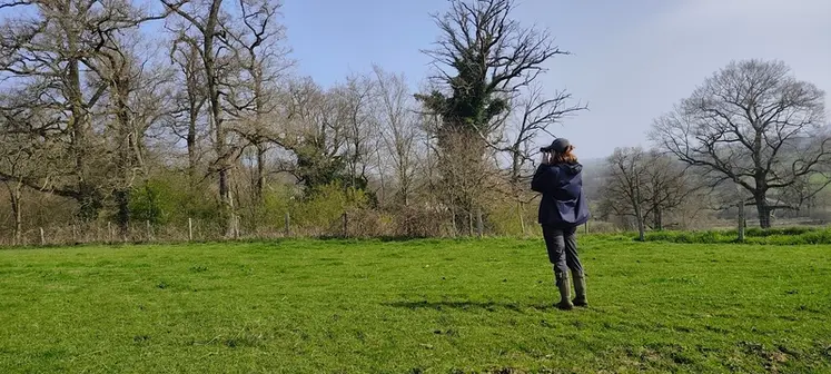 <em class="placeholder">Expert en écologie réalisant un suivi ornithologique.</em>