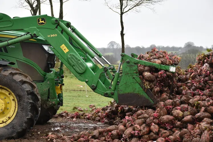 <em class="placeholder">Les betteraves sont chargées dans le godet du tracteur.</em>