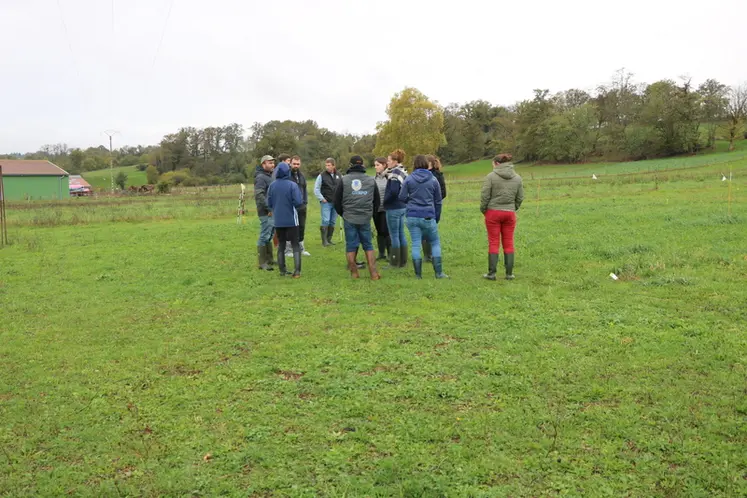 <em class="placeholder">Formation de conseillers ovins</em>