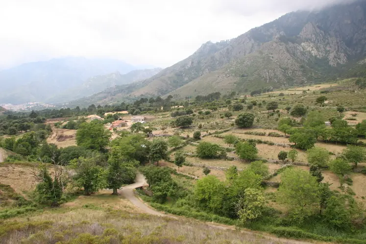 <em class="placeholder">Paysage de Corse</em>