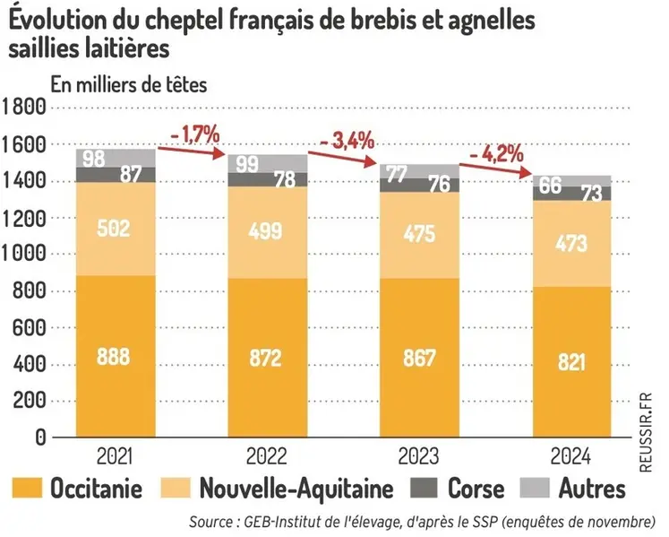 <em class="placeholder">Graphique : Recul du cheptel de reproductrices ovin lait fin 2024©GEB-Institut de l’élevage, d’après le SSP(enquêtes de novembre)</em>