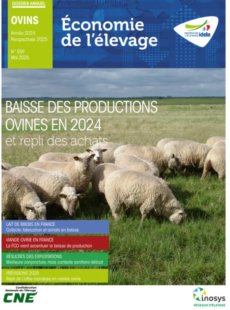 <em class="placeholder">Dossier annuel ovin Année 2024 - Perspectives 2025 publié par l'Institut de l'élevage</em>