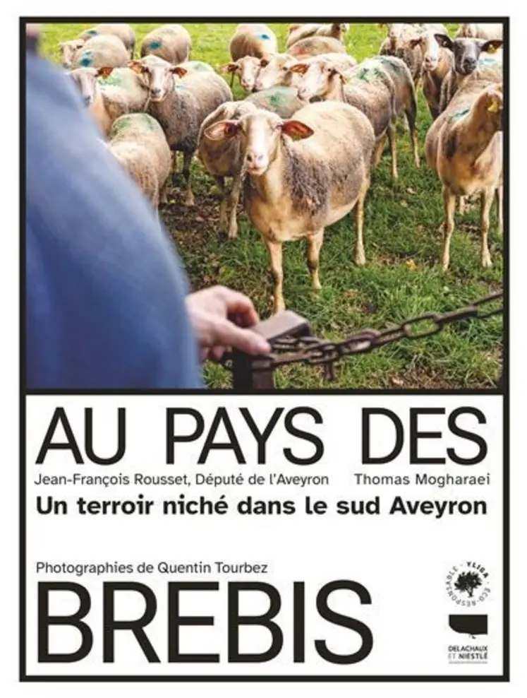 <em class="placeholder">Au pays des brebis</em>