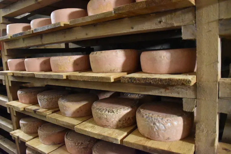<em class="placeholder">Cave d'affinage des tommes</em>