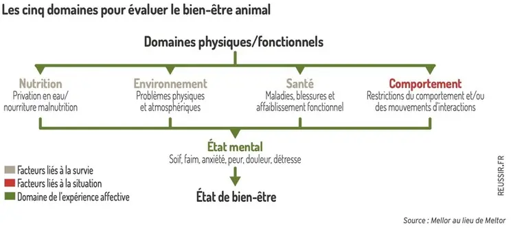<em class="placeholder">Schéma : Les cinq domaines pour évaluer le bien-être animal© Source : Mellor et Al. 2020</em>