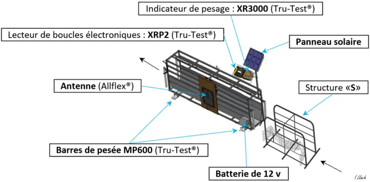 <em class="placeholder">Schéma de la cage de pesée Walk-over-Weighing</em>