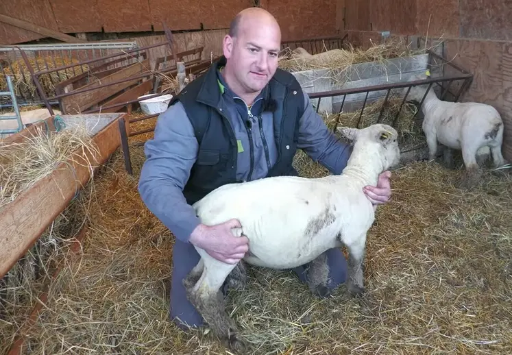 <em class="placeholder">David Tourte, éleveur de moutons Southdown en Seine-et-Marne</em>