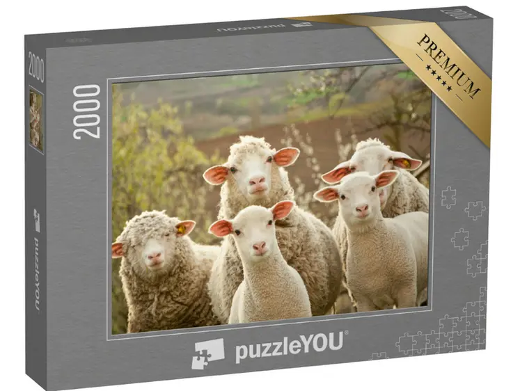 <em class="placeholder">Puzzle moutons curieux PuzzleYou</em>