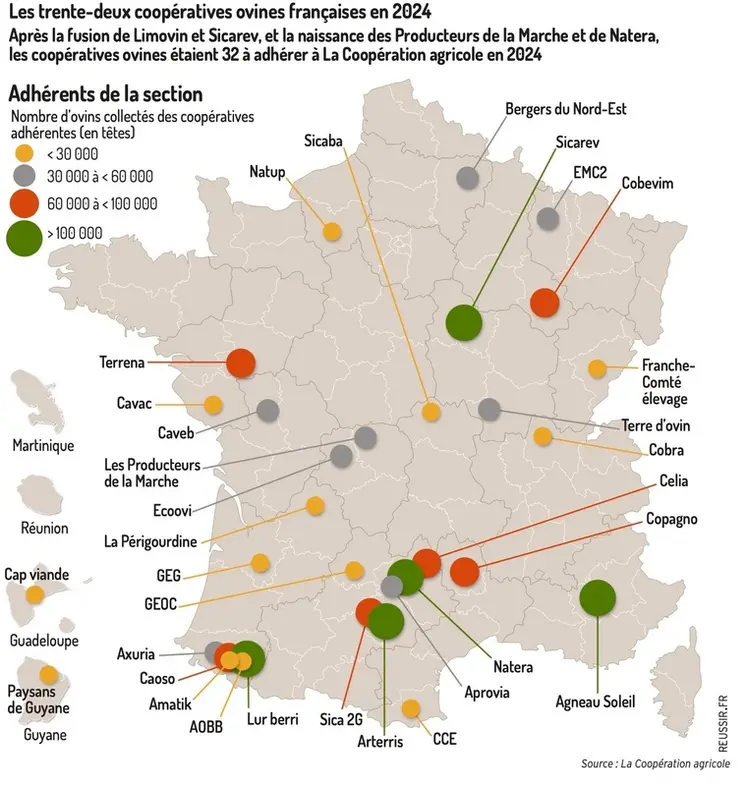 <em class="placeholder">Les trente-deux coopératives ovines françaises en 2024Après la fusion de Limovin et Sicarev, et la naissance des Producteurs de la Marche et de Natera, les coopératives ...</em>