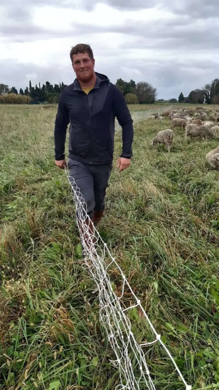 <em class="placeholder">Sam Feugueur pose les clôtures pour le troupeau de brebis.</em>