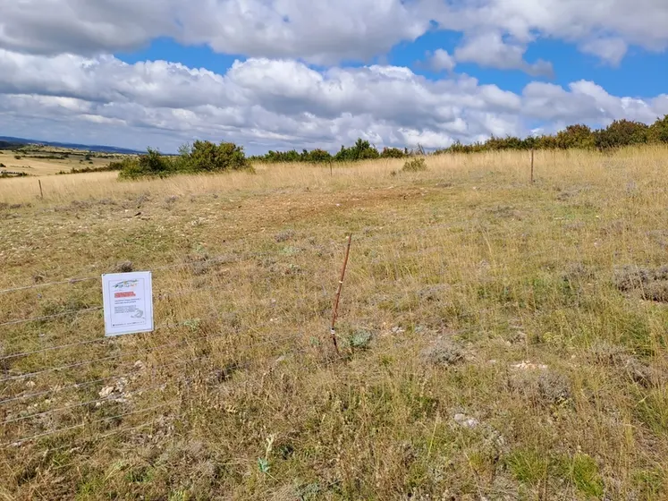 <em class="placeholder">Les placettes, à la charge des éleveurs, sont grillagées pour empêcher l’intrusion d’autres animaux. </em>