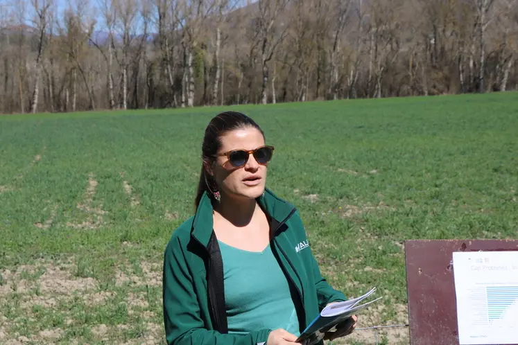 <em class="placeholder">Clémentine Bourgeois, d’Arvalis</em>