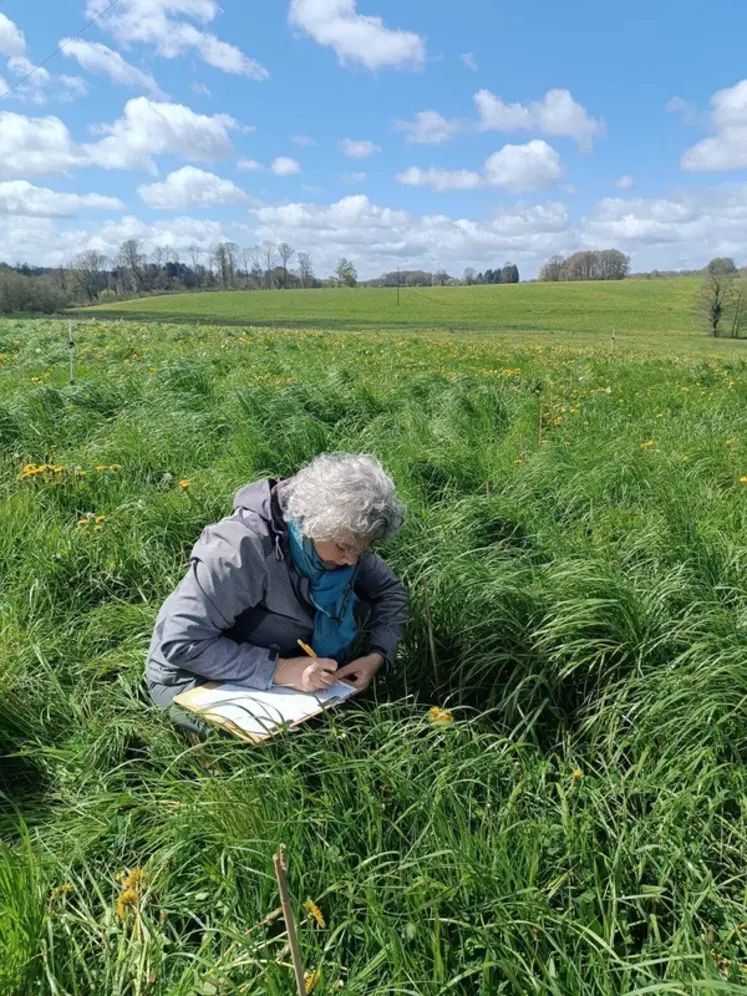 <em class="placeholder">Relevé de flore</em>