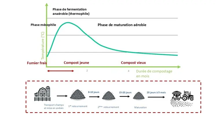 <em class="placeholder">Source : MRE PacaTitre : Evolution du fumier lors du compostageSous-titre : Le fumier passe par différentes phases lors du processus de compostage.</em>