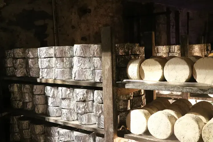 <em class="placeholder">L'AOP roquefort est centenaire</em>