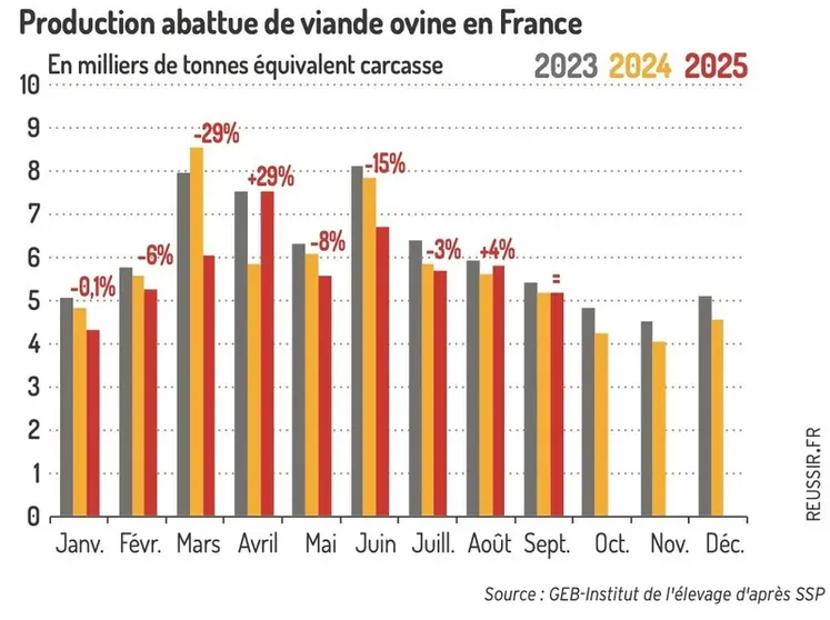 <em class="placeholder">Graphique : Production abattue de viande ovine en France©GEB-Institut de l'élevage d'après le SSP</em>