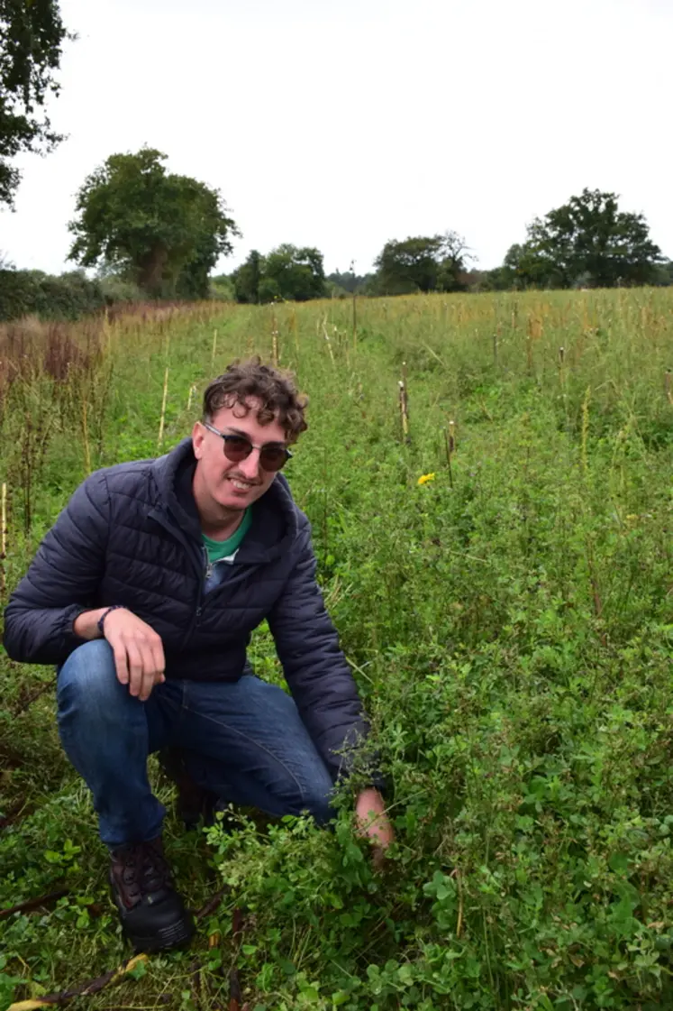 <em class="placeholder">Léopold Hennon </em>