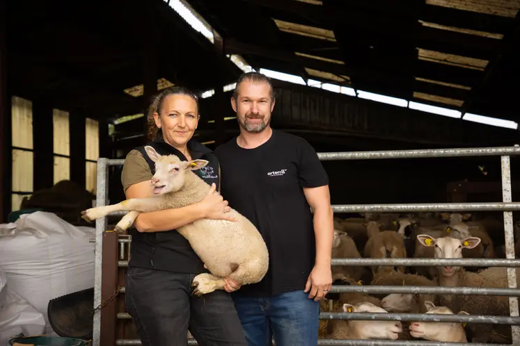 <em class="placeholder">Nans et Céline Marcel ont choisi la race Romane au moment de leur installation en 2024 sur 40 ha de SAU.</em>