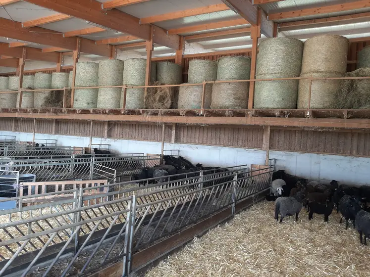 Bergerie en Autriche