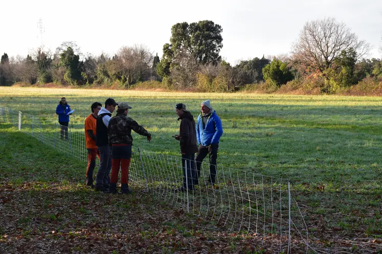 Des jurés des Ovinpiades inspectent la clôture posée par un participant.