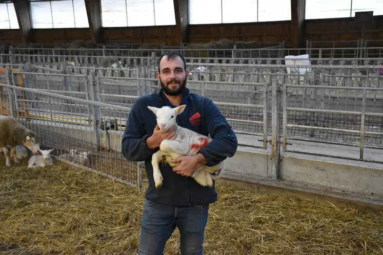 <em class="placeholder">Jeune éleveur tenant un agneau dans ses bras</em>