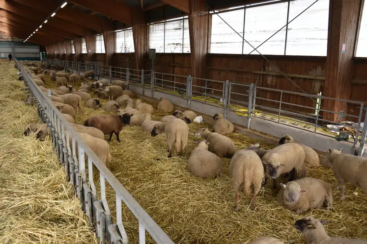 <em class="placeholder">Bergerie du domaine de Bressonvilliers, en Essonne</em>