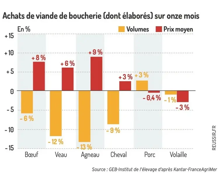 <em class="placeholder">Achats de viande de boucherie (dont élaborés) sur 11 mois</em>