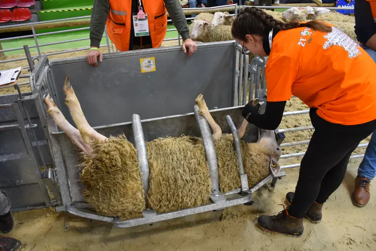 Epreuve de parage des onglons