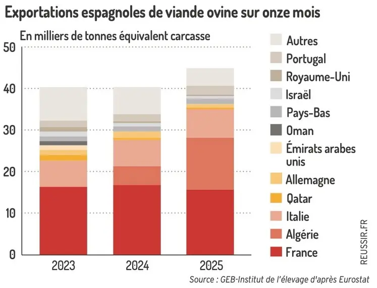 Exportations espagnoles de viande ovine sur 11 mois 