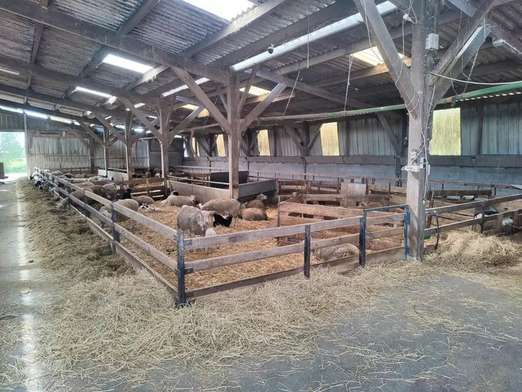 <em class="placeholder">Un bâtiment éclairé pour le désaisonnement des brebis.</em>