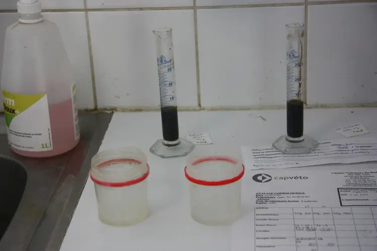 <em class="placeholder">Coprologies en cours d'analyse chez le vétérinaire.</em>