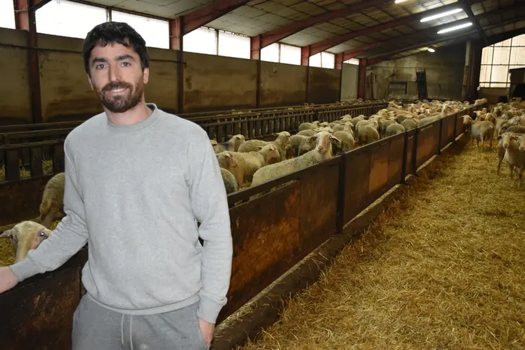 <em class="placeholder">Julien Cazottes dans sa bergerie.</em>